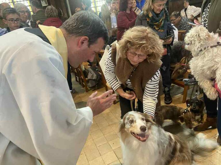 Honfleur : toujours autant de succès pour la bénédiction des animaux de compagnie