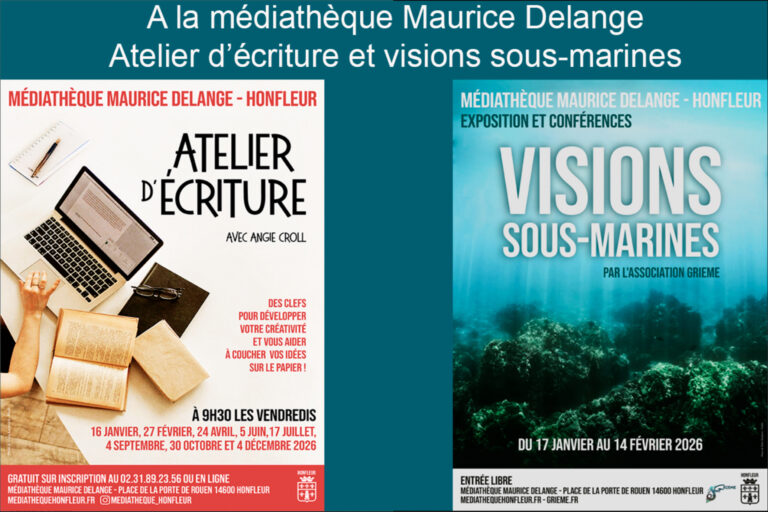 Honfleur : À la médiathèque Maurice Delange, l’écriture et la vision sous-marine sont à l’honneur…