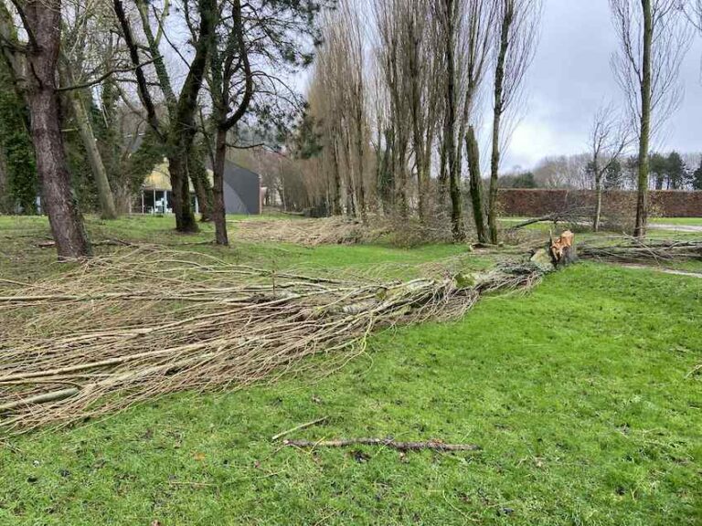 Honfleur : Fermeture des parcs et jardins publics…