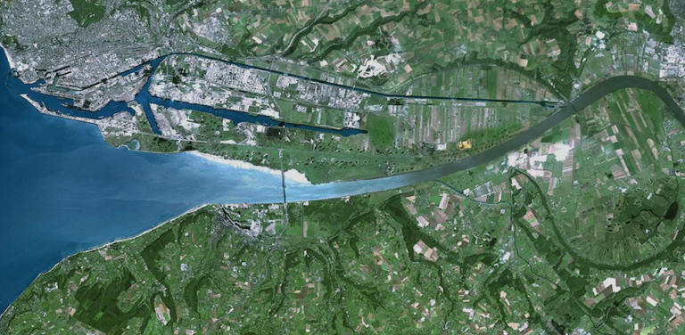 Plus de 100 espèces de poissons maintenant dans l’estuaire de la Seine…