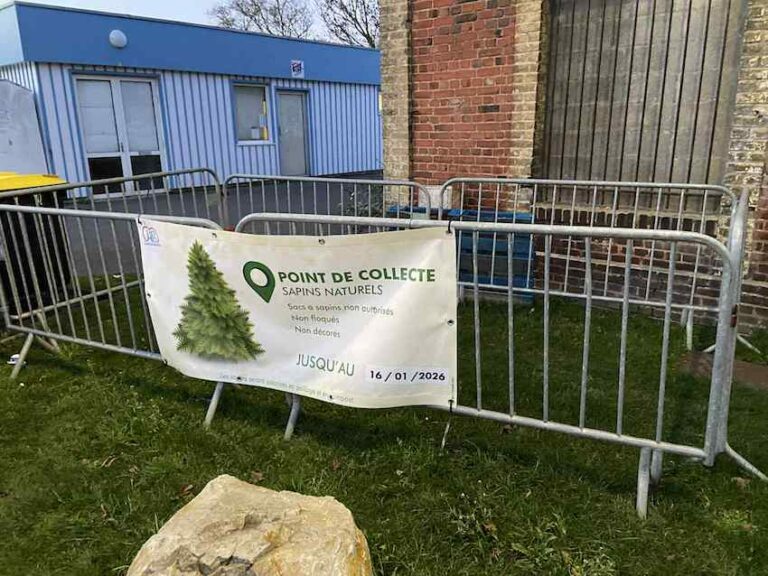 Que faire de son sapin de Noël ?