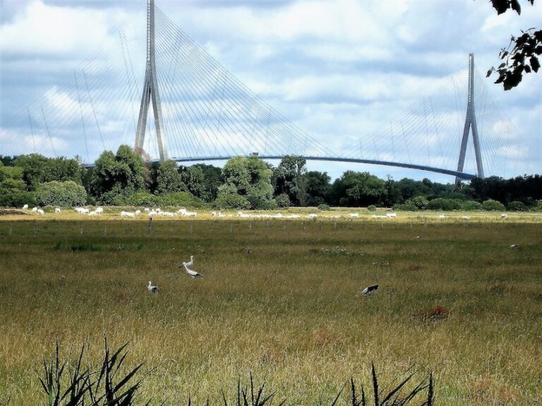 L’association « Estuaire Sud » défend la plaine alluviale contre les inondations.