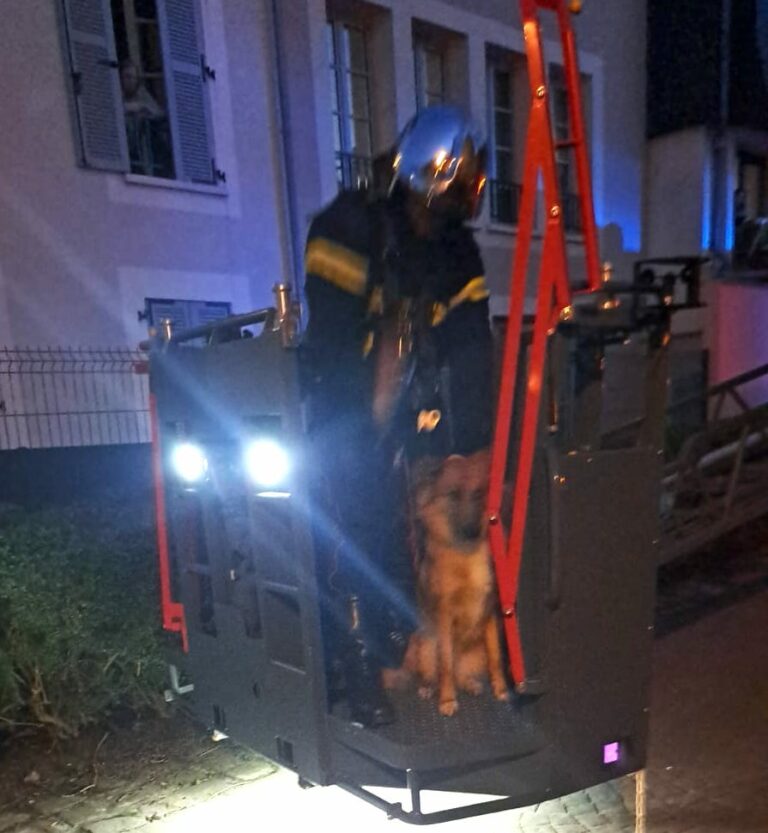 Honfleur : Les sapeurs-pompiers sauvent un chien perché sur un toit…