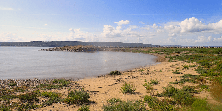L’île en face de Honfleur où les humains ne vont pas…