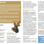 Prog NdA 2026 – copie
