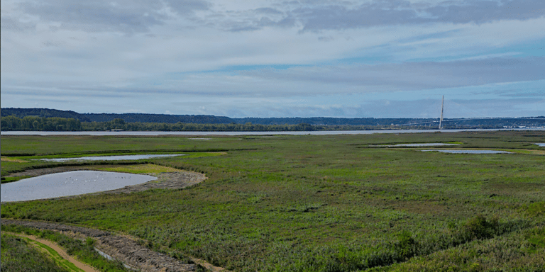 Réserve naturelle nationale de l’estuaire de la Seine : Comment est-elle née ?