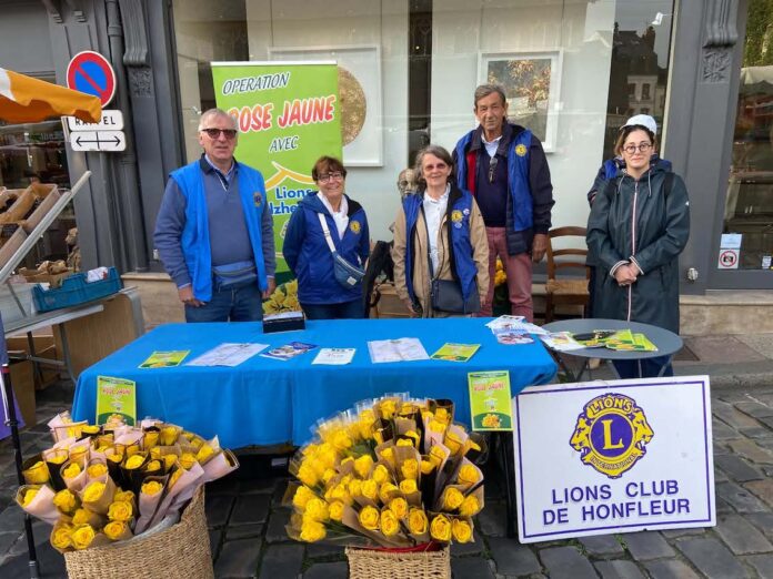 Vente de tulipes