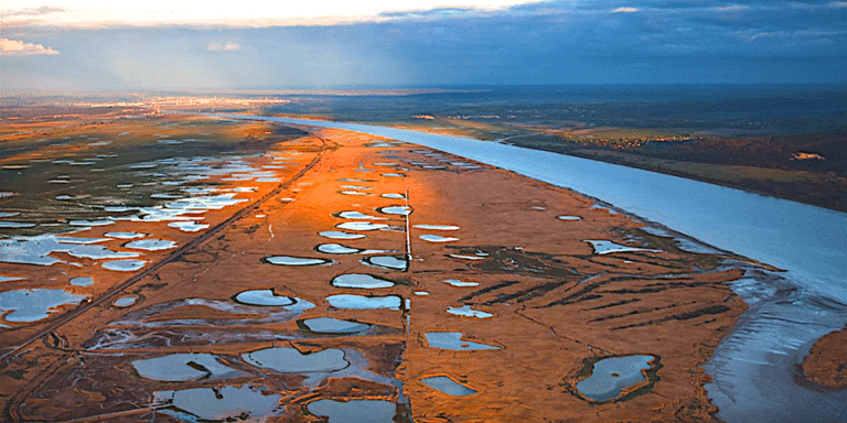 Réserve naturelle de l’estuaire de la Seine : près de 30 ans de gestion.