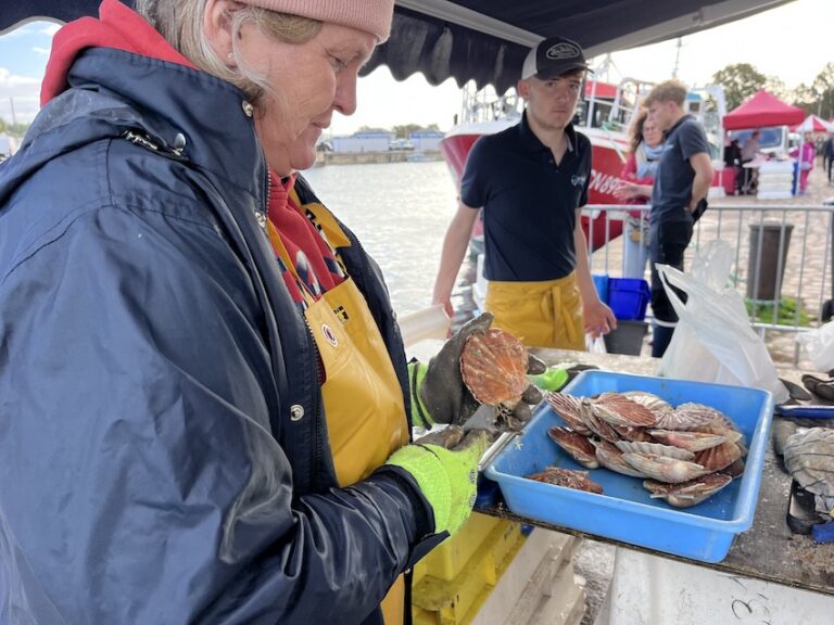 La coquille et la pêche à l’honneur à Honfleur